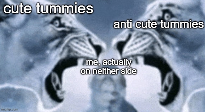 ragebaited vs ragebaited vs neutra | cute tummies anti cute tummies me, actually on neither side | image tagged in ragebaited vs ragebaited vs neutra | made w/ Imgflip meme maker