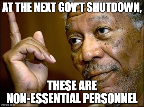 at the next gov't shutdown, these are non-essential personnel | image tagged in this morgan freeman | made w/ Imgflip meme maker