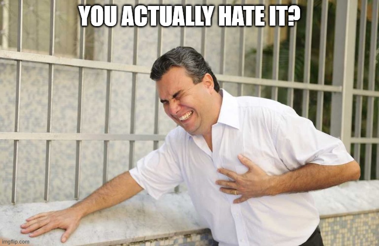 ouch | you actually hate it? | image tagged in ouch | made w/ Imgflip meme maker