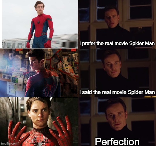 tobey macguire is the G.O.A.T | I prefer the real movie Spider Man; I said the real movie Spider Man; Perfection | image tagged in i prefer the real,spiderman,tobey maguire,tom holland,andrew garfield,marvel | made w/ Imgflip meme maker