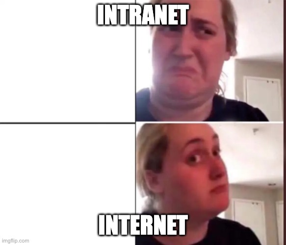 intranet vs internet | Intranet; Internet | image tagged in brittany broski meme | made w/ Imgflip meme maker