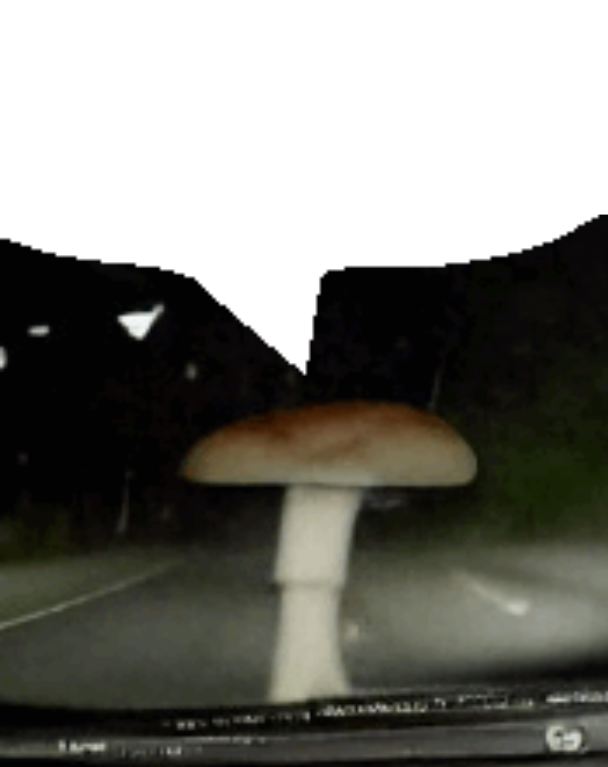 High Quality shroom yapping Blank Meme Template