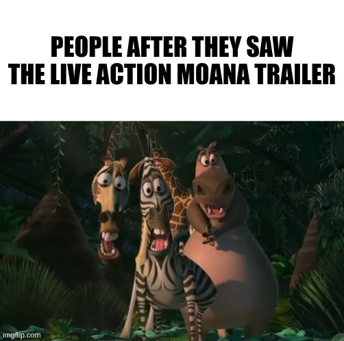Marty, Gloria, & Melman Traumatized with Spacing | People after they saw the live action Moana trailer | image tagged in marty gloria melman traumatized with spacing | made w/ Imgflip meme maker