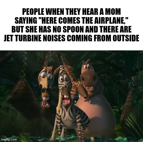Marty, Gloria, & Melman Traumatized with Spacing | People when they hear a mom saying "here comes the airplane," but she has no spoon and there are jet turbine noises coming from outside | image tagged in marty gloria melman traumatized with spacing | made w/ Imgflip meme maker