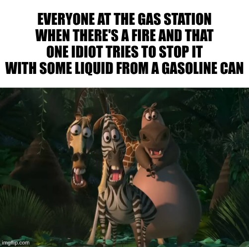 Marty, Gloria, & Melman Traumatized with Spacing | Everyone at the gas station when there's a fire and that one idiot tries to stop it with some liquid from a gasoline can | image tagged in marty gloria melman traumatized with spacing | made w/ Imgflip meme maker