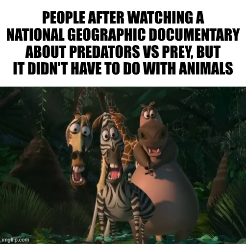 Marty, Gloria, & Melman Traumatized with Spacing | People after watching a National Geographic documentary about predators Vs prey, but It didn't have to do with animals | image tagged in marty gloria melman traumatized with spacing | made w/ Imgflip meme maker