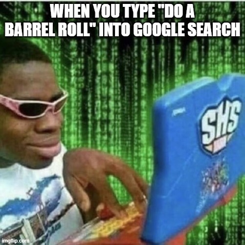 do a barrel roll | when you type "do a barrel roll" into google search | image tagged in ryan beckford,hacker,google search,google,hack,search | made w/ Imgflip meme maker