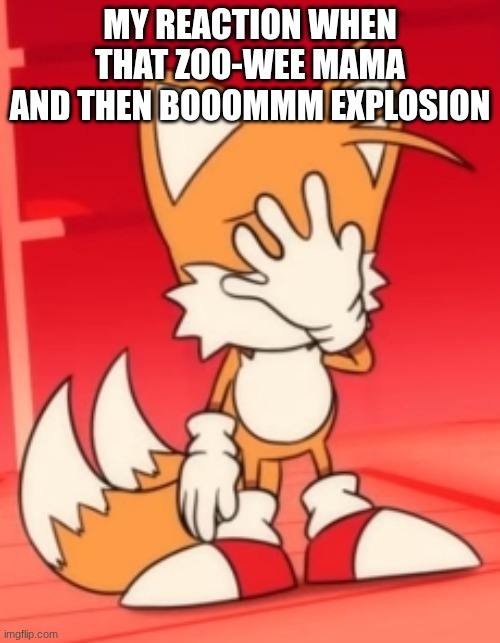 Miles "Tails" Prower facepalm | My reaction When That Zoo-wee mama and then BOOOMMM explosion | image tagged in miles tails prower facepalm,zoo-wee mama | made w/ Imgflip meme maker