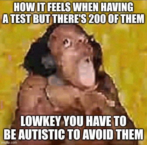 giphy.gif | how it feels when having a test but there's 200 of them; lowkey you have to be autistic to avoid them | image tagged in giphy gif,ishowspeed | made w/ Imgflip meme maker