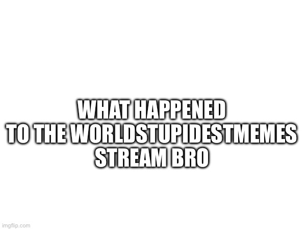 WHAT happened TO THE WORLDSTUPIDESTMEMES STREAM BRO | made w/ Imgflip meme maker