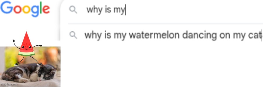 catermelon | image tagged in funny,memes,wierd,weird | made w/ Imgflip meme maker