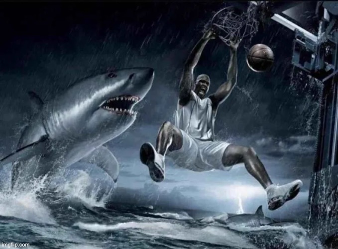 image tagged in legendary slam dunk | made w/ Imgflip meme maker