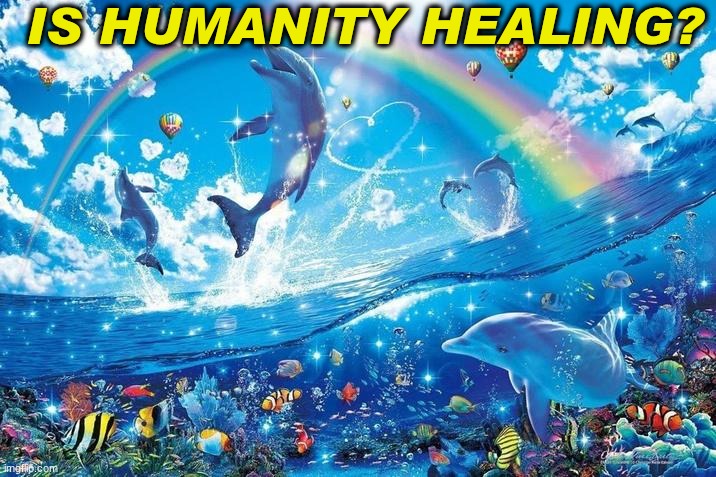 Happy dolphin rainbow | is humanity healing? | image tagged in happy dolphin rainbow | made w/ Imgflip meme maker