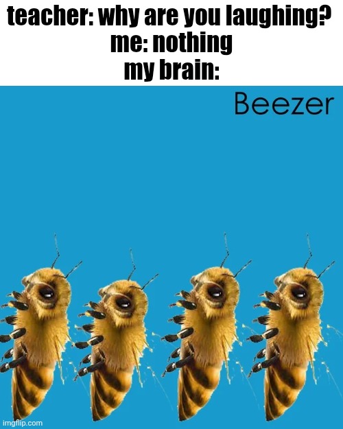 oooeeeooo i look just like buzzy holly | teacher: why are you laughing? 
me: nothing
my brain: | image tagged in bee,weezer,meme,why are you reading the tags | made w/ Imgflip meme maker