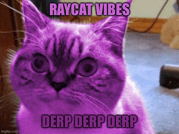 RayCat derp | Raycat vibes; Derp derp derp | image tagged in raycat derp | made w/ Imgflip meme maker