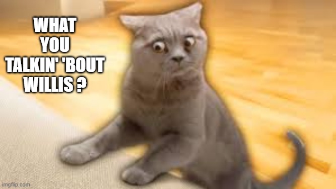 Cat says "What Chew Talkin' 'Bout Willis".     --  funny  -- | What you talkin' 'bout willis ? | image tagged in cat,kittens,funny,humor,quotes | made w/ Imgflip meme maker