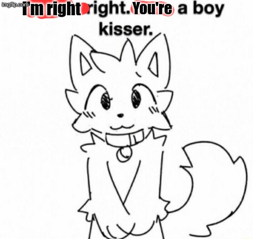 You're right. I am a boy kisser. | I'm right You're | image tagged in you're right i am a boy kisser | made w/ Imgflip meme maker