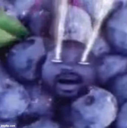 blueberries | made w/ Imgflip meme maker