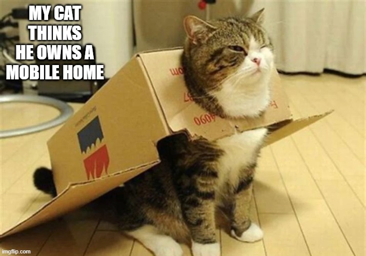My cat thinks he owns a mobile home. | My cat thinks he owns a mobile home | image tagged in cat,kittens,play on words,home,funny,humor | made w/ Imgflip meme maker
