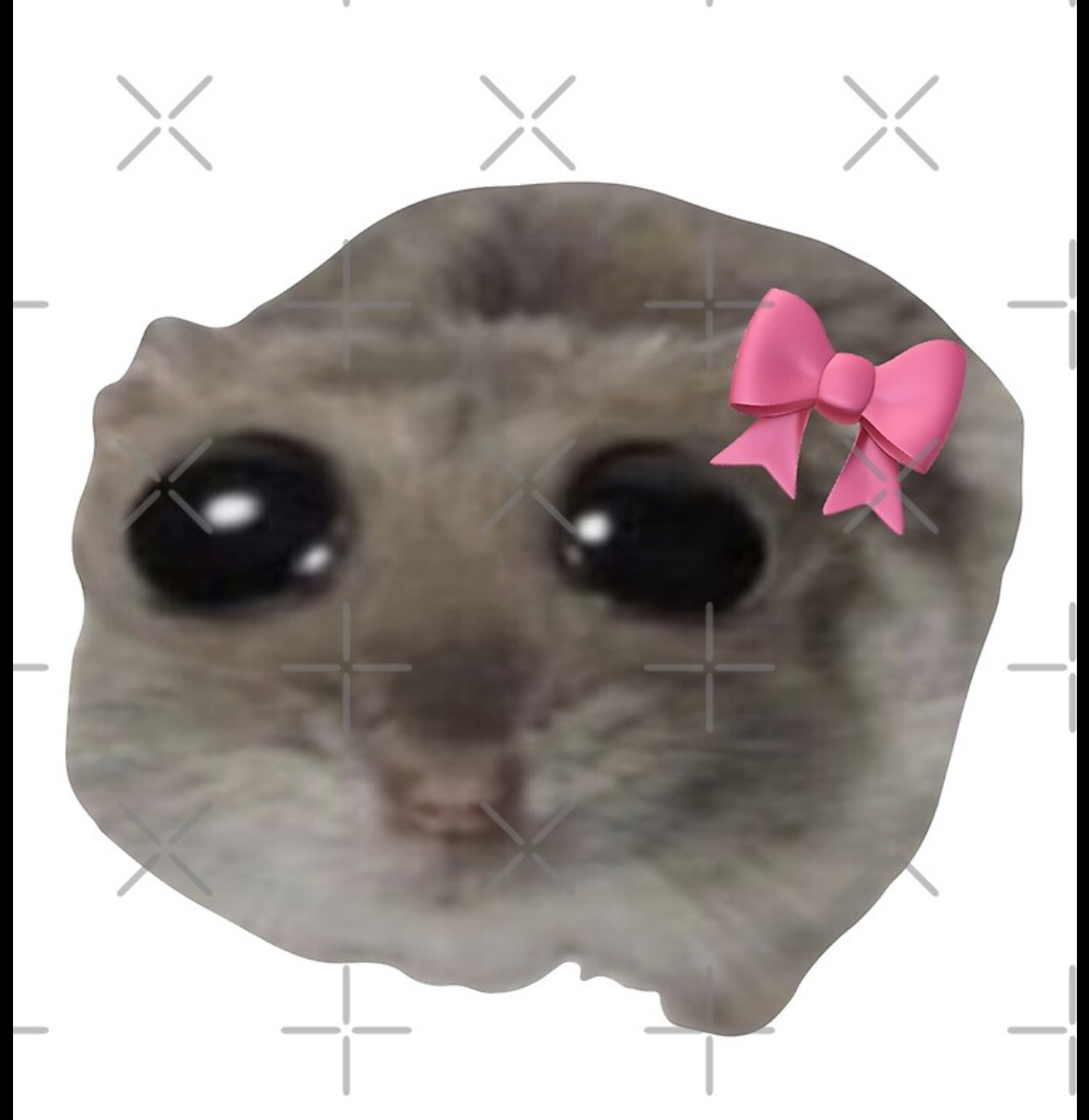 Hamster Blank Meme Template