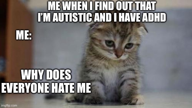 Sad kitten | Me when I find out that I’m autistic and I have adhd; Me:; Why does everyone hate me | image tagged in sad kitten | made w/ Imgflip meme maker