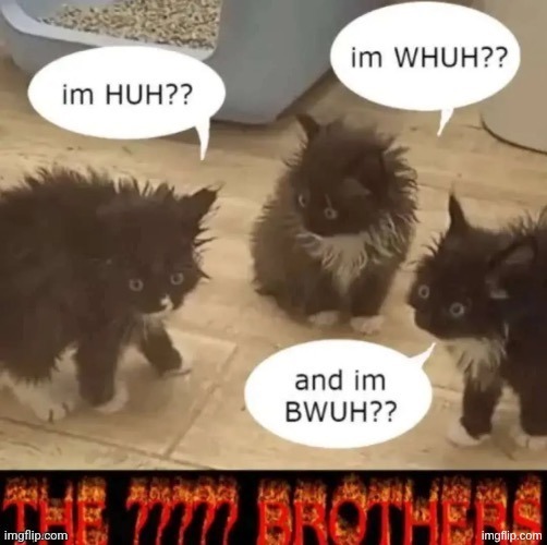 why is this suddenly my 3rd most used template | image tagged in the brothers | made w/ Imgflip meme maker