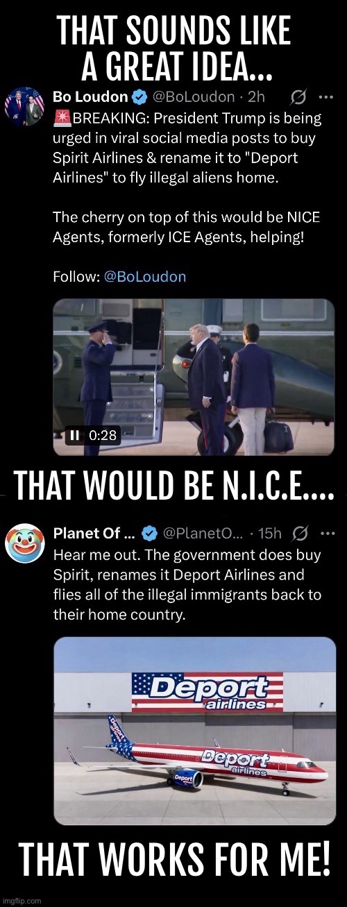 It won’t happen, but it really should | That works for me! | image tagged in political meme,spirit airlines,president trump,purchase,deport | made w/ Imgflip meme maker