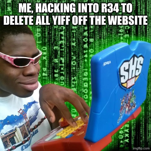 Hacker | Me, hacking into R34 To delete all yiff off the website | image tagged in hacker | made w/ Imgflip meme maker