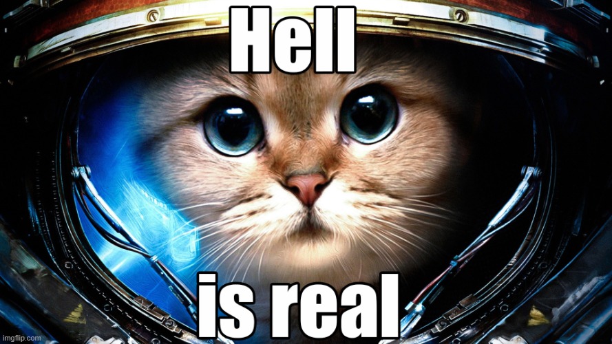Cat Meme 10.png | image tagged in cat meme 10 png | made w/ Imgflip meme maker
