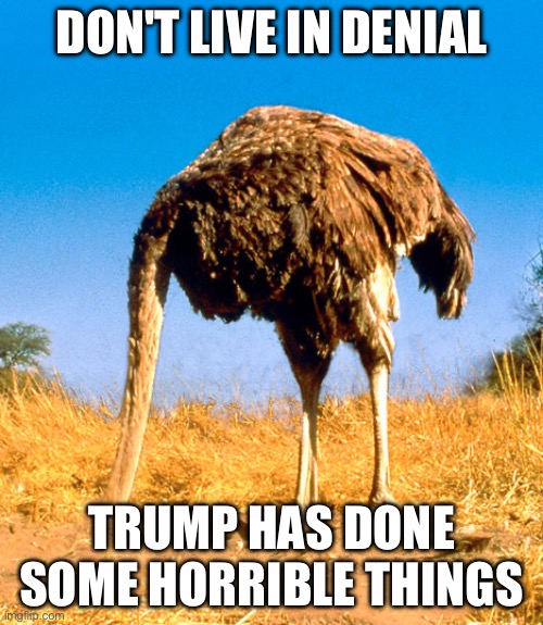 Think of Pearl Harbor. Everyone hated the Fascist Japanese because they betrayed us while they were negotiating with us. | Don't live in denial; trump has done some horrible things | image tagged in denial be like | made w/ Imgflip meme maker
