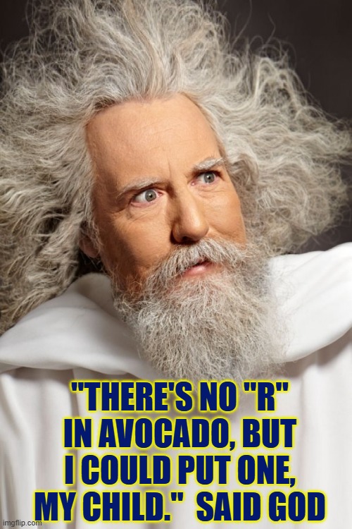 "There's no "R"
in Avocado, but I could put one, my child."  said God | image tagged in god 02 jpg | made w/ Imgflip meme maker
