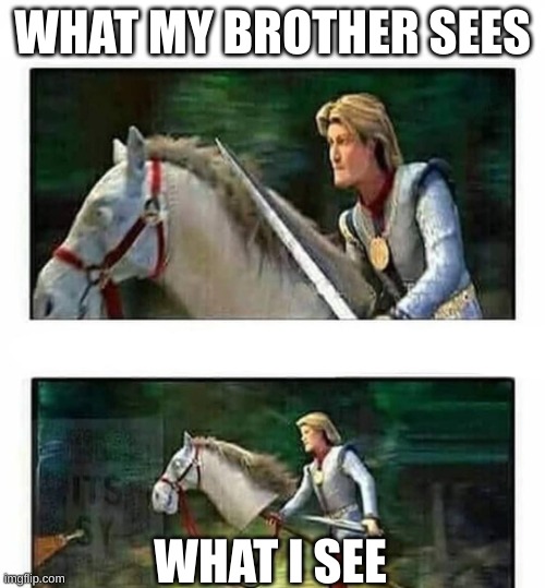 Reality | What my brother sees; What i see | image tagged in prince charming s horse | made w/ Imgflip meme maker
