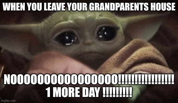 frt | when you leave your grandparents house; Noooooooooooooooo!!!!!!!!!!!!!!!!! 1 more day !!!!!!!!! | image tagged in crying baby yoda,sad | made w/ Imgflip meme maker