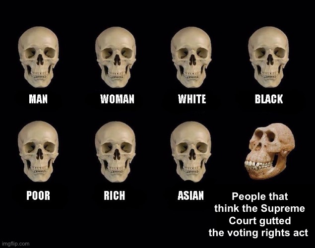 No one has lost the right to vote | People that think the Supreme Court gutted the voting rights act | image tagged in empty skulls of truth,politics lol,memes,derp | made w/ Imgflip meme maker