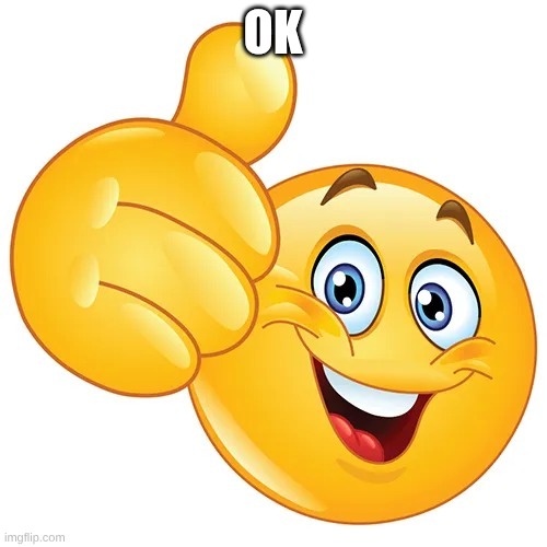 Thumbs up bitches | Ok | image tagged in thumbs up bitches | made w/ Imgflip meme maker