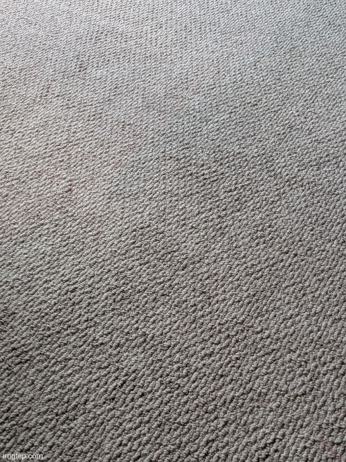 My carpet kinda looks like a carpet on mondays (today is monday) | image tagged in carpet | made w/ Imgflip meme maker