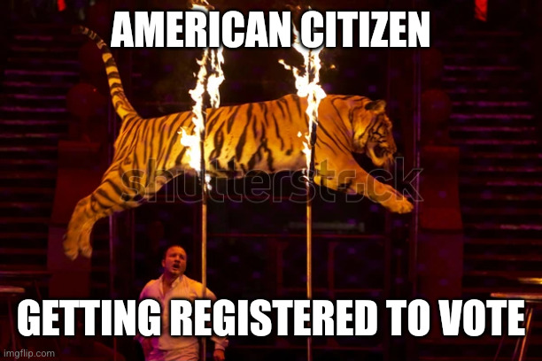 tiger jumping through hoops fire | American citizen Getting registered to vote | image tagged in tiger jumping through hoops fire | made w/ Imgflip meme maker