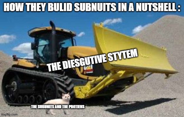 Secnice Check | how they bulid subnuits in a nutshell :; the diesgutive stytem; the subunits and the protiens | image tagged in cat on buldozer,yep,memes,true | made w/ Imgflip meme maker
