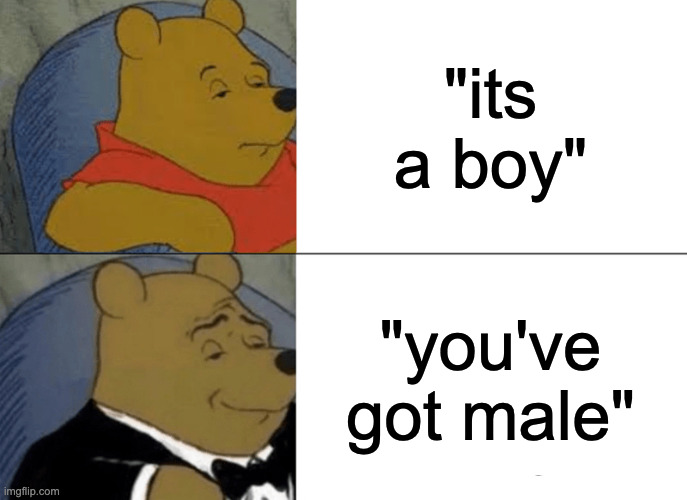 A place for good ol' fun content that appeals to everyone! Humor, memes, gifs, and kittens are all welcome here. | "its a boy"; "you've got male" | image tagged in memes,tuxedo winnie the pooh | made w/ Imgflip meme maker