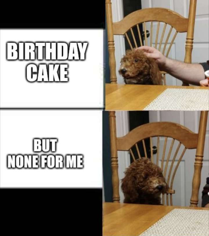 But not for me dog Blank Meme Template