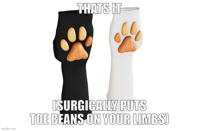 thats it (surgically puts toe beans on your limbs) | made w/ Imgflip meme maker
