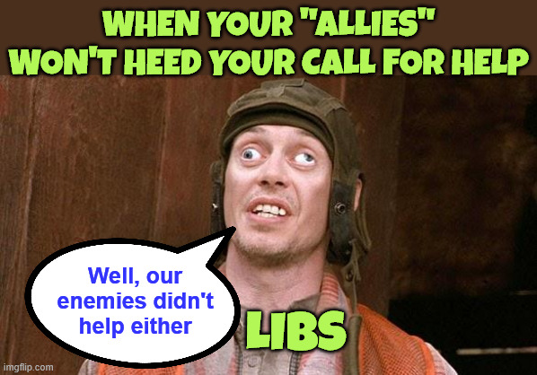 Steve Buscemi | When your "allies" won't heed your call for help Well, our enemies didn't help either Libs | image tagged in steve buscemi | made w/ Imgflip meme maker