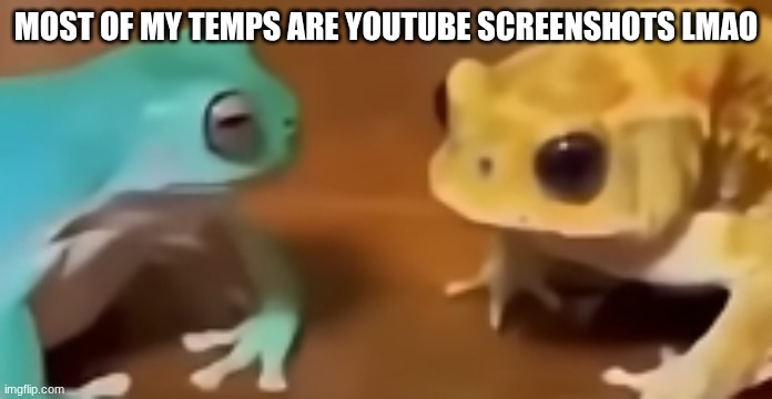 *newer | most of my temps are YouTube screenshots lmao | image tagged in the fuck did you just say | made w/ Imgflip meme maker