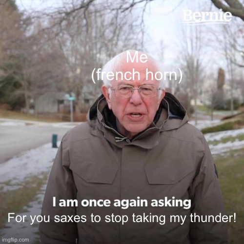 Im playing a forte and with the saxes behind me i can't hear myself!!! | Me (french horn); For you saxes to stop taking my thunder! | image tagged in memes,bernie i am once again asking for your support | made w/ Imgflip meme maker
