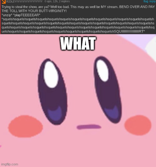 Bro | What | image tagged in blank kirby face | made w/ Imgflip meme maker