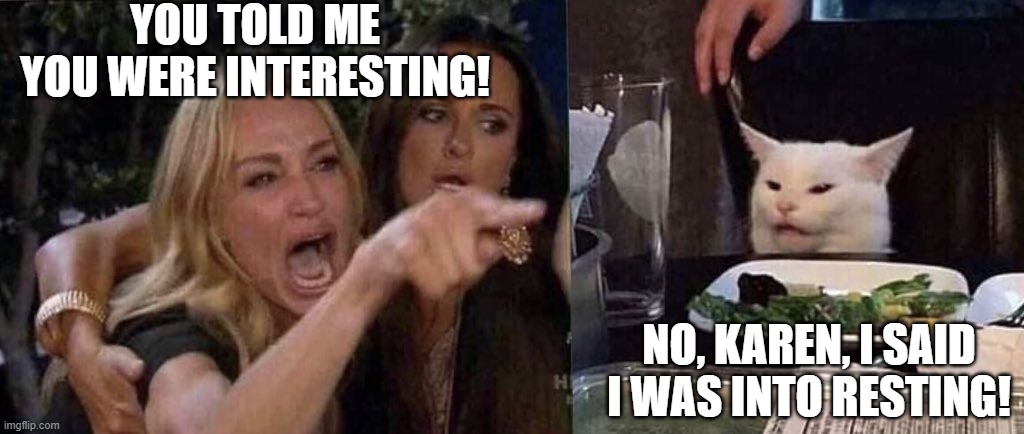 I'm into resting | You told me you were interesting! No, Karen, I said I was into resting! | image tagged in woman yelling at cat,interesting,into resting | made w/ Imgflip meme maker