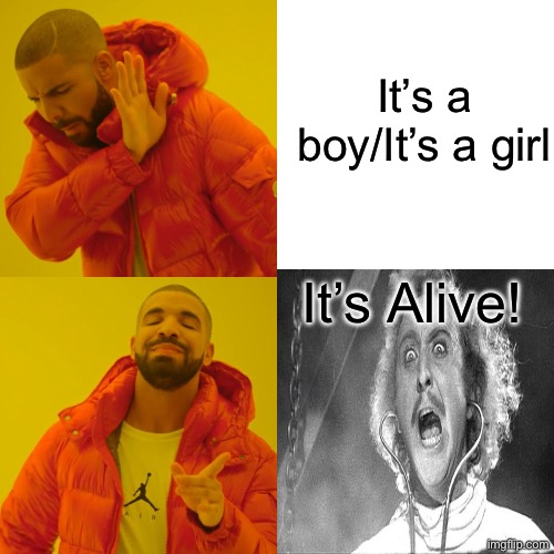 Drake Hotline Bling Meme | It’s a boy/It’s a girl It’s Alive! | image tagged in memes,drake hotline bling | made w/ Imgflip meme maker
