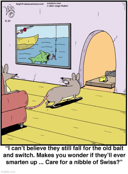 Rubes | image tagged in comics,rubes,rats,bait and switch,mousetrap,cheese | made w/ Imgflip meme maker