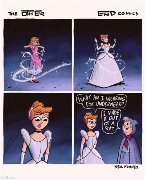 The Other End | image tagged in comics,the other end,cinderella,fairy godmother,underwear,rat | made w/ Imgflip meme maker