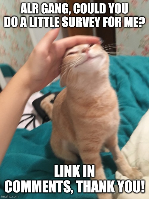 If you could, that would be great! | Alr gang, could you do a little survey for me? Link in comments, thank you! | image tagged in cat pat | made w/ Imgflip meme maker